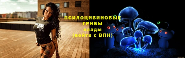 ешки Армянск