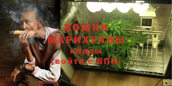 spice Аркадак