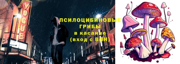 мет Арсеньев