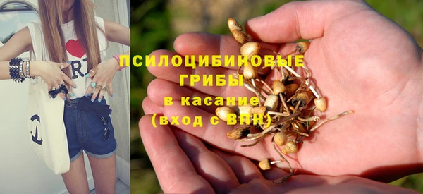 ешки Армянск