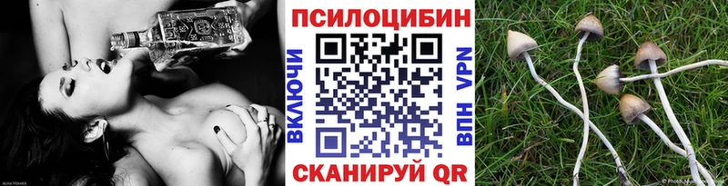 Галлюциногенные грибы Psilocybine cubensis  купить  цена  Галич 